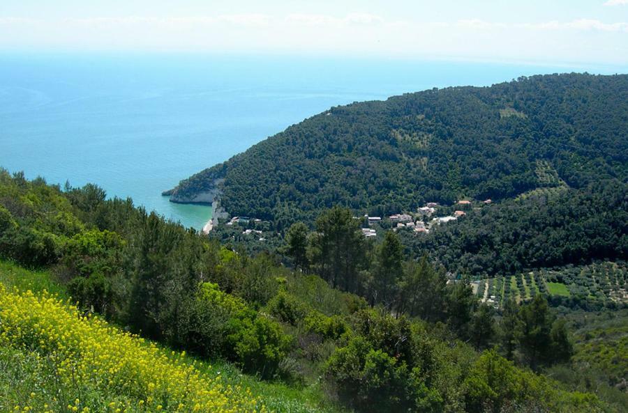 Villa Zagare Mattinata Exterior foto